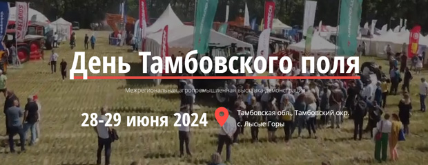 День Тамбовского поля 2023. День поля. Мусульмане в Палестине расстрел (18+).